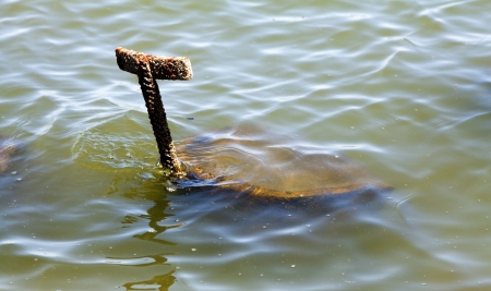 floodの写真素材