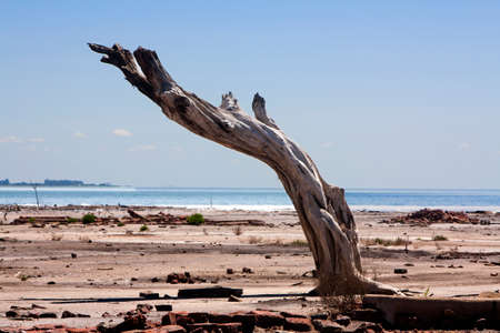 tocando el cieloの写真素材