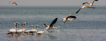 flight phasesの写真素材