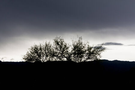 ROAD TO Riojaの写真素材