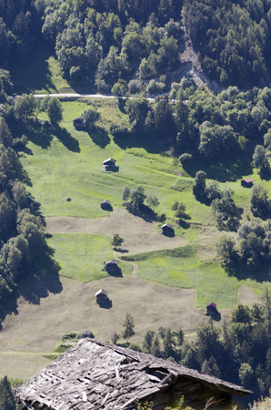 Swissの写真素材