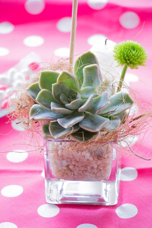 Desert rose and green daisy in glass vaseの写真素材