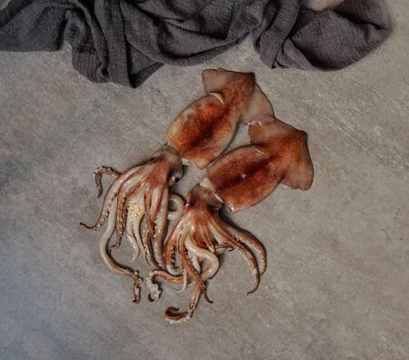 squid fresh raw, top veiw, flat lay, on the gray stone backgroundの写真素材