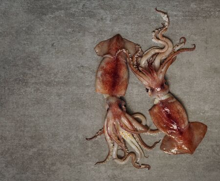 squid fresh raw, top veiw, flat lay, on the gray stone backgroundの写真素材