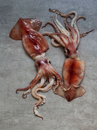 squid fresh raw, top veiw, flat lay, on the gray stone backgroundの写真素材