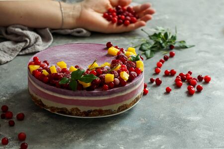Vegan raw cheesecake with blueberry, cherry, matcha tea, orange,  cashew cream, coconut butter and coconut milk, and base made of almonds, dates  and  dried apricots, oat flakes, lyophilisated berryの写真素材