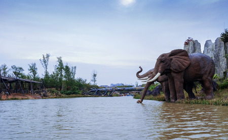 Zoo elephants drinking water landscapeのeditorial素材