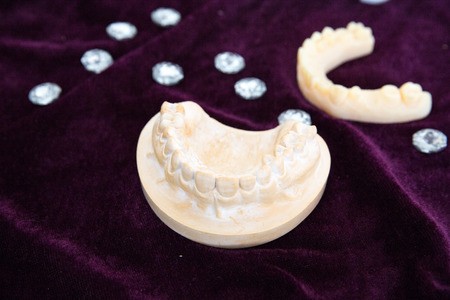 3D printer to print the mandible