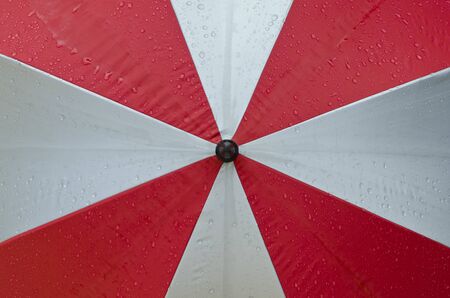 red white umbrella rainnyの写真素材
