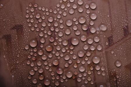 water dropsの写真素材