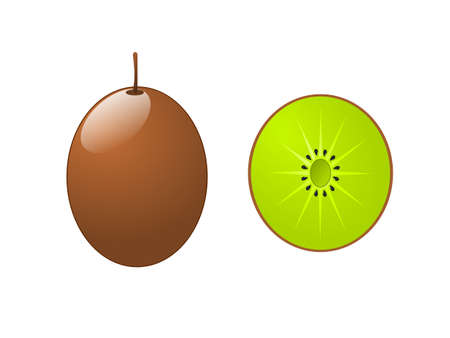 Kiwi vector illustration isolatedのイラスト素材