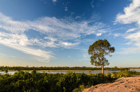Land tree and sky in the countryside view natureの写真素材