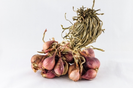 Shallots vegetables in white background in the cooking conceptの写真素材