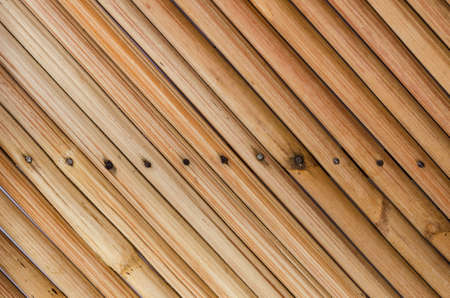 Wood background in the nature style concept macroの写真素材