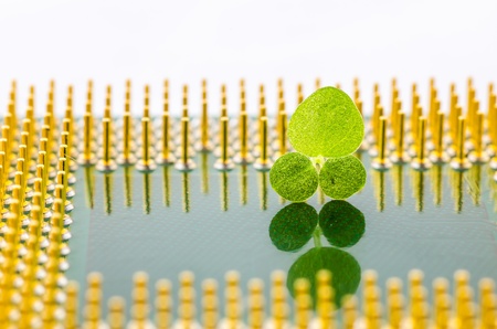 Little plant on electronic in the environment conceptの写真素材