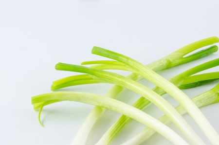 Green onions in the white background vegetable conceptの写真素材