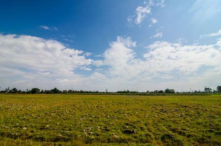Land and sky in the countryside view natureの写真素材