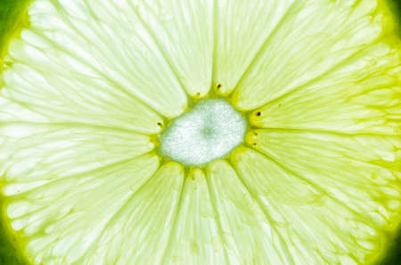 lemon slice in white background in the raw fruit conceptの写真素材