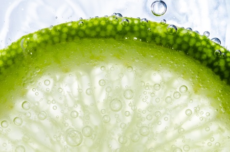 lemon slice in white background in the raw fruit concept