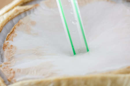 Coconut in market Thailand for drink fresh fruitの写真素材
