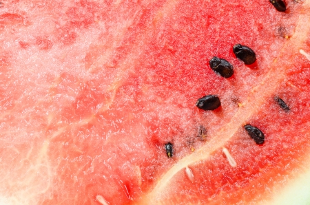 Water melon slice in the background concept sweet fruitの写真素材