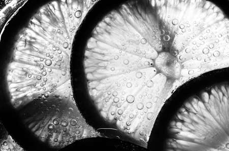 lemon slice in white background in the raw fruit conceptの写真素材