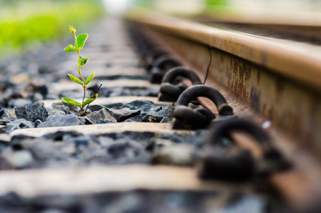 Railway and plant in the day in the countryside in Thailandの写真素材