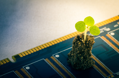 Little plant on electronic board