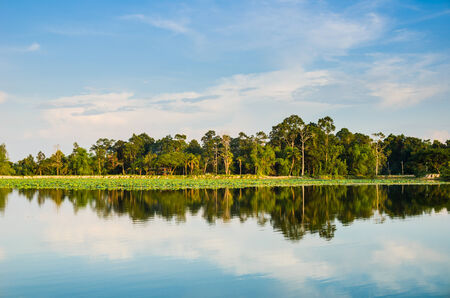 Pond and water reflection in spring nature in Thailandの写真素材