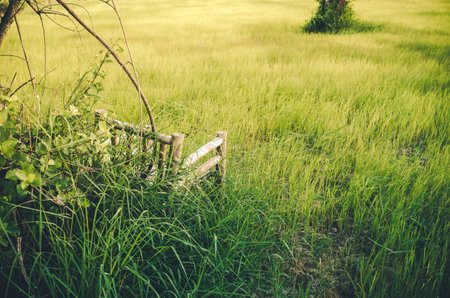 Bamboo wooden chairs on grass field in countryside Thailand vintageの写真素材