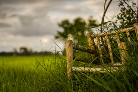 Bamboo wooden chairs on grass field in countryside Thailandの写真素材