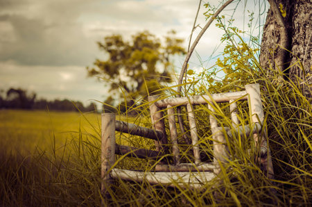 Bamboo wooden chairs on grass field in countryside Thailand vintageの写真素材