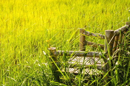 Bamboo wooden chairs on grass field in countryside Thailandの写真素材