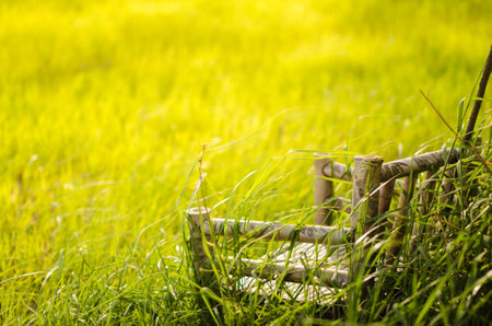Bamboo wooden chairs on grass field in countryside Thailandの写真素材