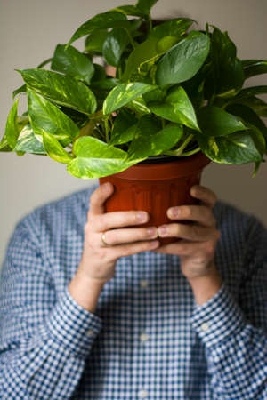 Man holds a pot of flowers in front of a syngonium