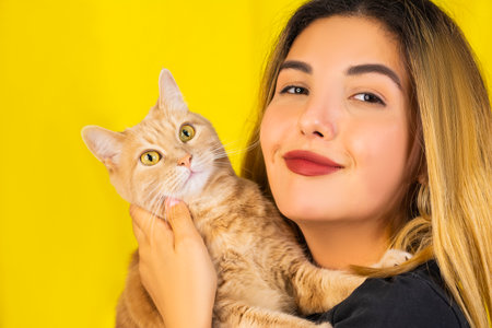 Young asian girl in a black t-shirt on a yellow background with a sand-colored cat