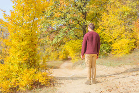Back view man tourist with backpack in sweaters near the lake in the forest in autumn on natureの写真素材