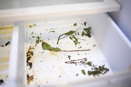 Dirty refrigerator shelfの写真素材