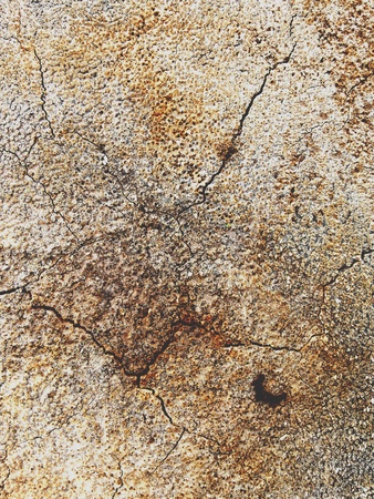 cement textureの素材