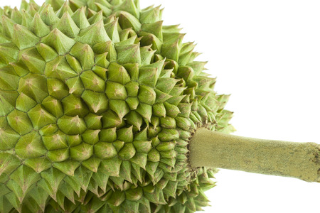 Durian on white background