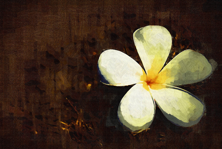 Watercolor illustration of tropical flowersのeditorial素材