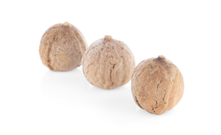 cardamom thai on white background