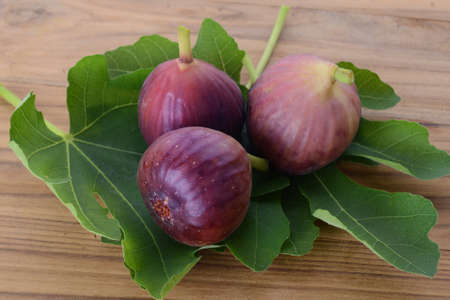 Fig on wood