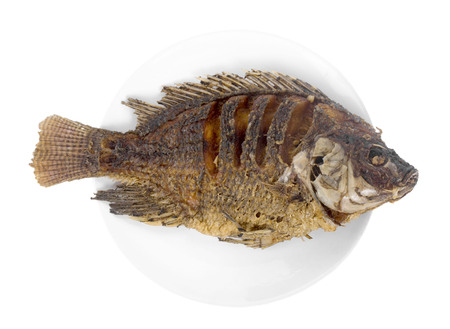 Fried Tilapia fish fried isolated on white background