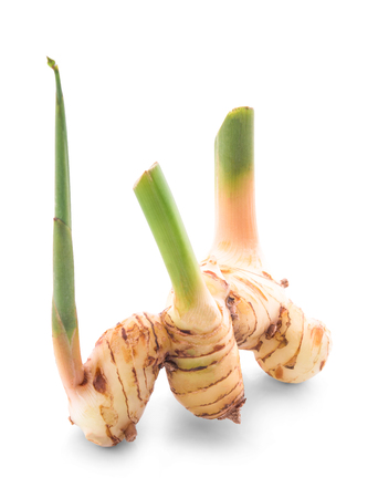 Galangal isolated on white backgroundの写真素材