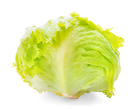 Green Iceberg lettuce on White Backgroundの写真素材