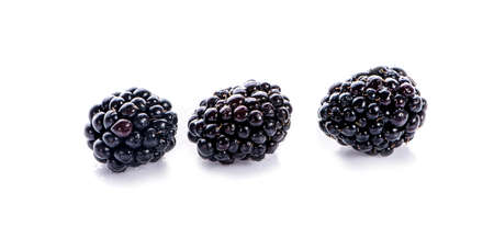 Blackberries isolated on white backgroundの写真素材