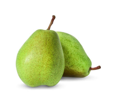 pumpkin isolated on white backgroundの写真素材