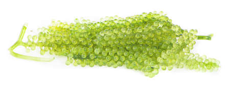 Sliced pumpkin isolated on white backgroundの写真素材