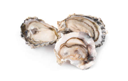 Fresh oyster isolated on white